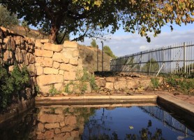 מעין גוש עציון יאיר ארונשטם_20201110124657.578 (278 x 200)_20210826195150.775.jpg